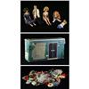 Image 1 : BARBIE DREAM HOUSE TEENAGE FASHION MODEL