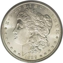 1899 S$1 MS67 PCGS. It seems that even novice Morgan d
