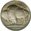 Image 2 : 1924-S 5C MS64 PCGS. The 1924-S Buffalo nickel is rega