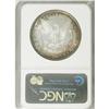 Image 4 : 1879 S$1 MS66 S NGC. Few Morgan dollars of any date c
