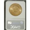 Image 4 : 1893 $20 MS64 NGC. A shining Choice representative of
