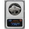 Image 2 : 2001-P $1 Buffalo PR70 Deep Cameo NGC. NGC Census: