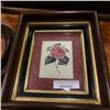Image 3 : Antique mahogany ovel frame and shadow box