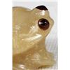 Image 6 : Zuni Travertine Frog Fetish by Ricky Laahty
