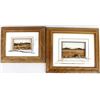 Image 1 : Pair of Original Three Dimensional Framed Nature Art