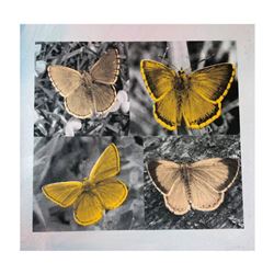 Steve Kaufman (1960-2010), "Four Butterfies" Hand Signed and Numbered Limited Edition Hand Pulled si