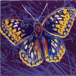 Andy Warhol- Screenprint in colors "San Francisco Silverspot"