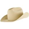 Image 3 : Gene Autry Cowboy Hat