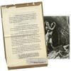 Image 1 : Maureen O'Sullivan Signed "Tarzan" Contract