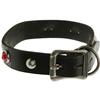 Image 1 : Roy Rogers Dog Collar for Bullet