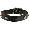 Image 2 : Roy Rogers Dog Collar for Bullet