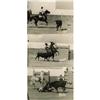 Ava Gardner Horse Accident Photos