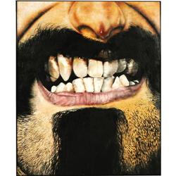 Frank Zappa "Everything Is Healing Nicely" Art