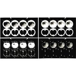 Apple Records Logo Proof Sheets