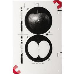 Apple Label Negatives and Color Keys