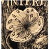 Image 2 : Vanilla Fudge/Steve Miller Band Fillmore Poster