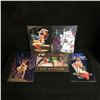 Image 1 : COLLECTIBLE TIN SIGN LOT