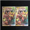 Image 1 : KING-SIZE CONAN COMIC BOOK LOT