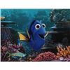 Image 1 : ELLEN DEGENERES SIGNED "FINDING NEMO" 11X14 PHOTO (PSA COA)