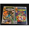 Image 1 : THE AMAZING SPIDER-MAN #206/ #207 (MARVEL COMICS)