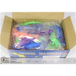 RETAIL DISPLAY OF GROWING SEA ANIMALS