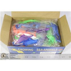 RETAIL DISPLAY OF GROWING SEA ANIMALS