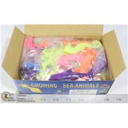 RETAIL DISPLAY OF GROWING SEA ANIMALS
