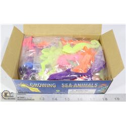 RETAIL DISPLAY OF GROWING SEA ANIMALS