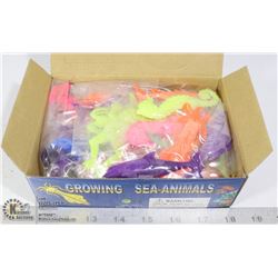 RETAIL DISPLAY OF GROWING SEA ANIMALS