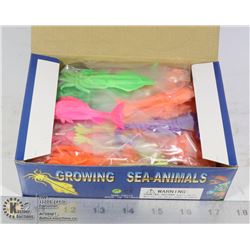 RETAIL DISPLAY OF GROWING SEA ANIMALS