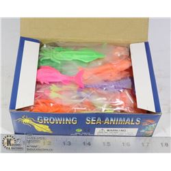 RETAIL DISPLAY OF GROWING SEA ANIMALS