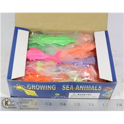 RETAIL DISPLAY OF GROWING SEA ANIMALS
