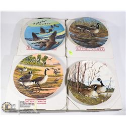 BUNDLE OF 4 BRADEX LOON PLATES