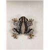 Image 1 : FROG RHINESTONE BROOCH