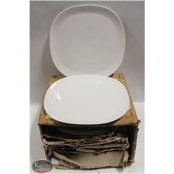 CASE OF NEW  LARGE 12.5" DINNER PLATES