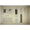 Image 2 : BRAZIL OFFICIAL UNICEF PROOF EDITION STAMP & PRINT