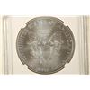 Image 2 : 2011 AMERICAN SILVER EAGLE NGC MS70 EARLY RELEASES