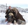 Image 2 : Inuit Outfitting ApS Greenland Winter Musk Ox Hunt