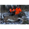 Image 6 : Safari Unlimited 6 day Missouri whitetail deer hunt for 2 hunters.