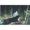Image 19 : BIG Black Bear hunt in Minnesota