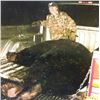 Image 1 : BIG Black Bear hunt in Minnesota