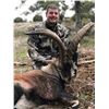 Image 1 : SMC Spain Hunting Ibex  Spain Beceite Ibex Hunt for 2 Hunters