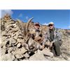 Image 1 : Corju Hunting 2021/2022 – Spain Beceite Ibex Hunt