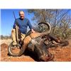 Image 1 : Ibamba Safaris  7 Day South African Safari including $5000 credit towards a Cape Buffalo