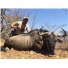 Image 3 : Ibamba Safaris  7 Day South African Safari for 2 hunters including $1000 credit per hunter towards t
