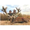 Image 2 : MG Hunting- Red Stag Hunt in Argentina