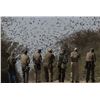 Image 1 : Paco Riestra- Argentina Dove Hunt for 2 to 6 hunters for 4 days / 3 nights