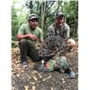 Image 6 : 7 Day Mexican Campeche 3 species Jungle Hunt for Two Hunters