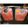 Image 1 : 2 FIRE PUMP TANKS WITH SPRAYERS, NO HOSES