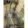 Image 2 : LG. BLUE CART WITH FOLDING SIDES